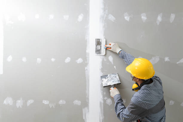 Best Drywall Removal and Disposal  in Ladera, CA